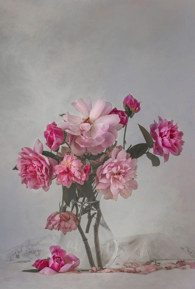 Fading pink roses in a vase with linen napkins on the table