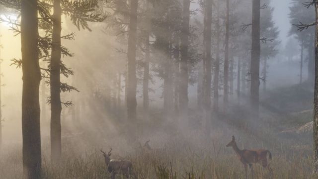 Five things to know about Red Dead Redemption 2 - BBC News