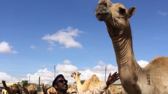 somaliland