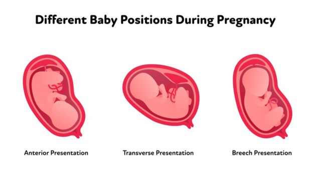செவிலியர்