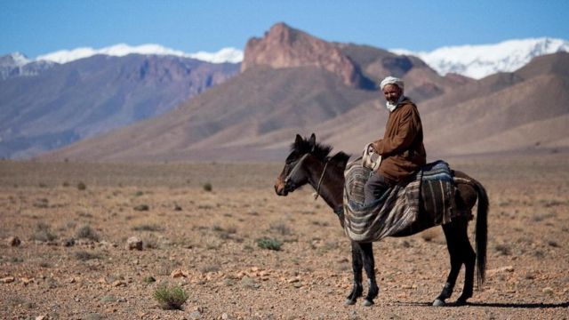 Un berber a caballo