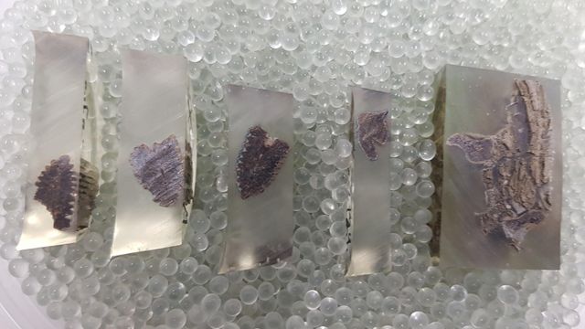 Cortar clips de hueso en resina epoxi