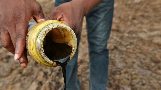 Les eaux et les terres des communautés Ogale et Bille ont été polluées par l'exploitation pétrolière