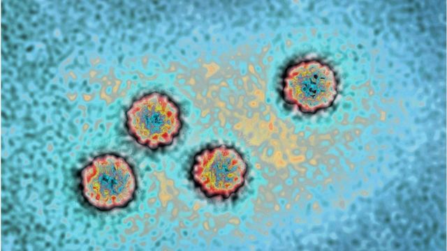 Imagen microscópica del virus que provoca la hepatitis A.
