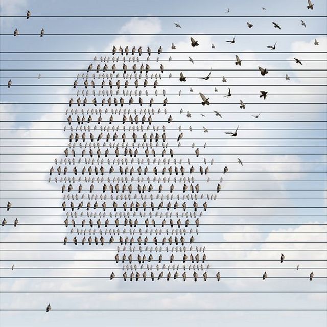 Pájaros en líneas formando perfil de hombre y algunos vuelan desde la cabeza