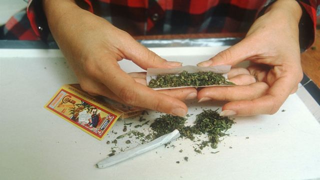 Иванов лекарственная марихуана научное название марихуаны