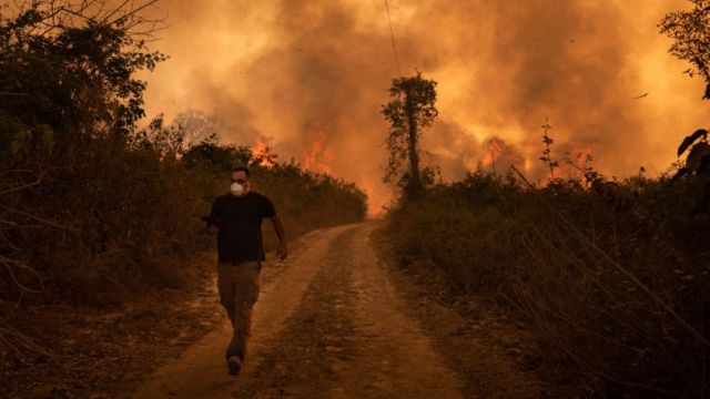 Incendios en el Pantanal