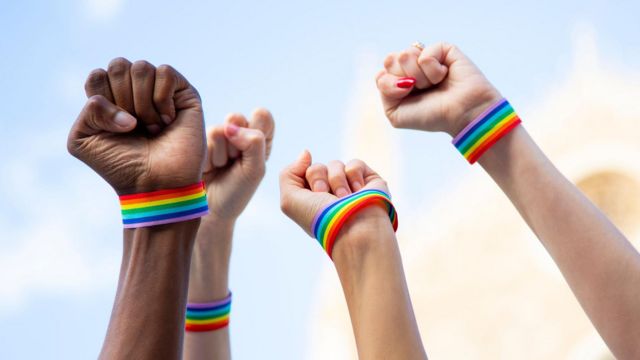 ‘தன்பாலினம் குறித்து பள்ளிப் பாடத்தில் சேர்க்க வேண்டும்’ – தன்பாலின தம்பதியின் வேண்டுகோள்