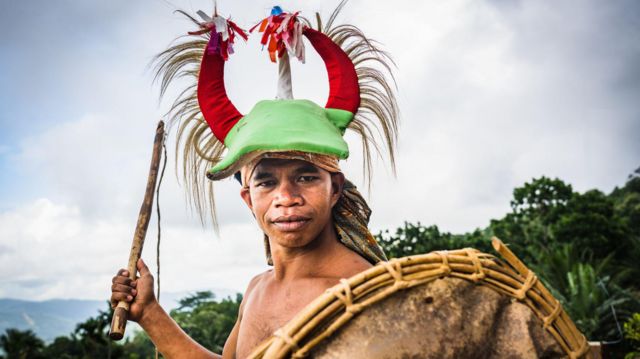 அமேசான் காடு