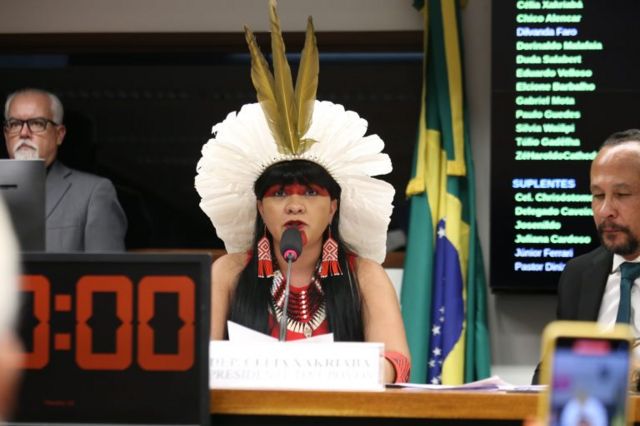 Célia Xacriabá discursa na Câmara com cocar e adereços indígenas