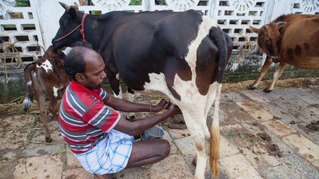 மனோ தங்கராஜ் விளக்கம்