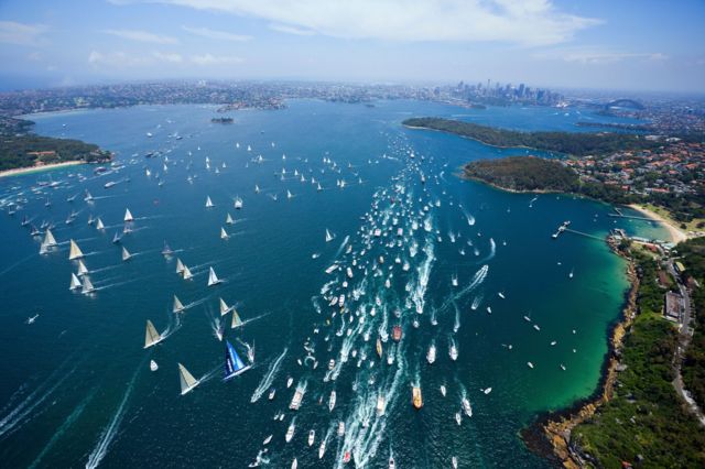 ஆஸ்திரேலியா: சிட்னி படகுப் போட்டியில் வரலாறு படைத்த பூனை