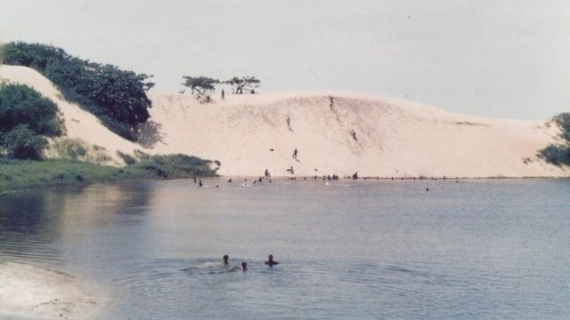 Vegetação em área onde foi alagada