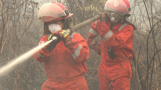 Kebakaran Hutan Dan Lahan: Perjuangan Para Relawan Dan Warga Padamkan ...