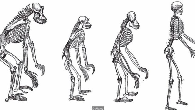 O sociólogo Herbert Spencer aplicou a teoria da evolução de Darwin às mudanças da sociedade ao longo do tempo