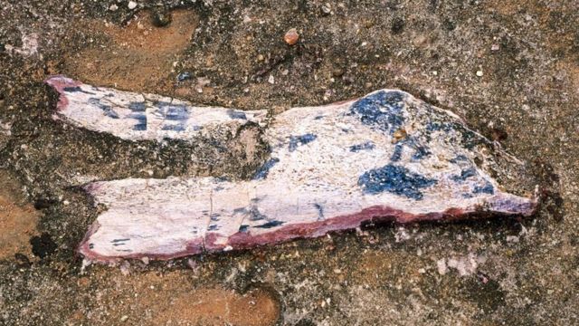 முக்கிய டைனோசர் தளங்களின் அழிவு ஒரு சவாலாக உள்ளது