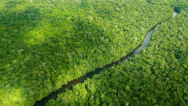 Vista aérea de la cuenca amazónica.