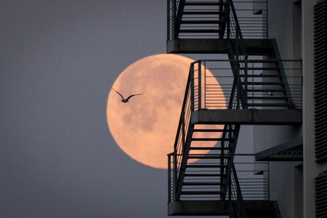 The pink supermoon seen against metal stairs in Lorient, western France