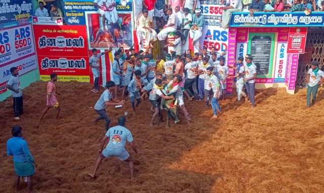 அலங்காநல்லூர் ஜல்லிக்கட்டு