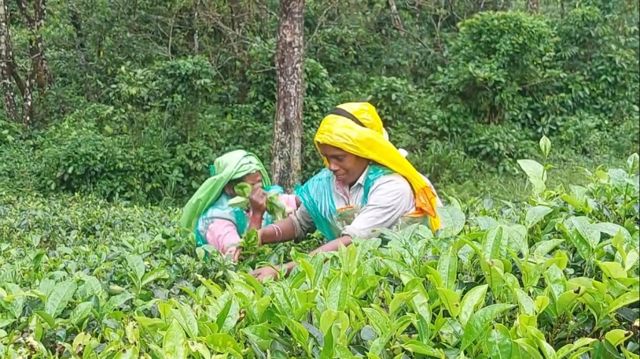 மலையக மக்கள் புறக்கணிக்கப்படுவது, அரசியல்வாதிகளின் குறையா?