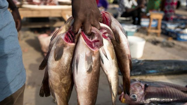 Sénégal, Mauritanie