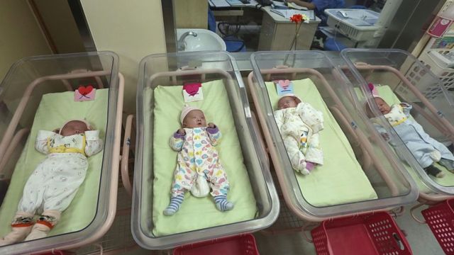 Bebés recién nacidos.