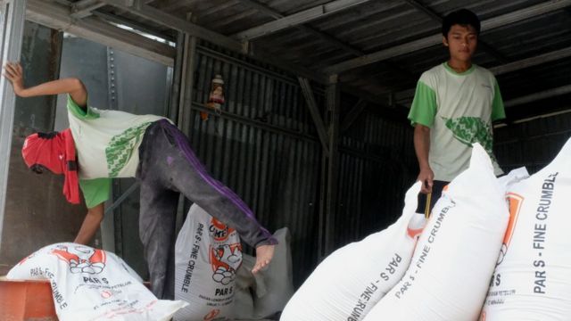 Pemuda Minang lulusan IT di Australia pulang kampung jadi 