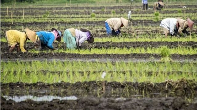 Mengapa Konflik Agraria Terus Terjadi Meski Pemerintah Klaim ...