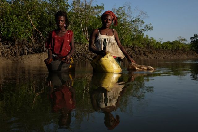 Two women stand in the waters in a mangrove forest holding buckets for collecting oysters