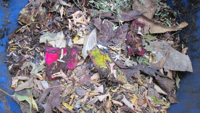 Mengkompos sampah demi lingkungan dan kesehatan - BBC News Indonesia