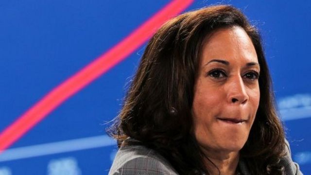 ABD Başkanlık Seçimi: Kamala Harris Hakkındaki Sahte Komplo Teorileri ...