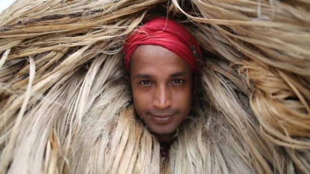 গত দুই বছর ধরে পাট চাষ করে লাভবান হচ্ছেন বাংলাদেশের কৃষকরা