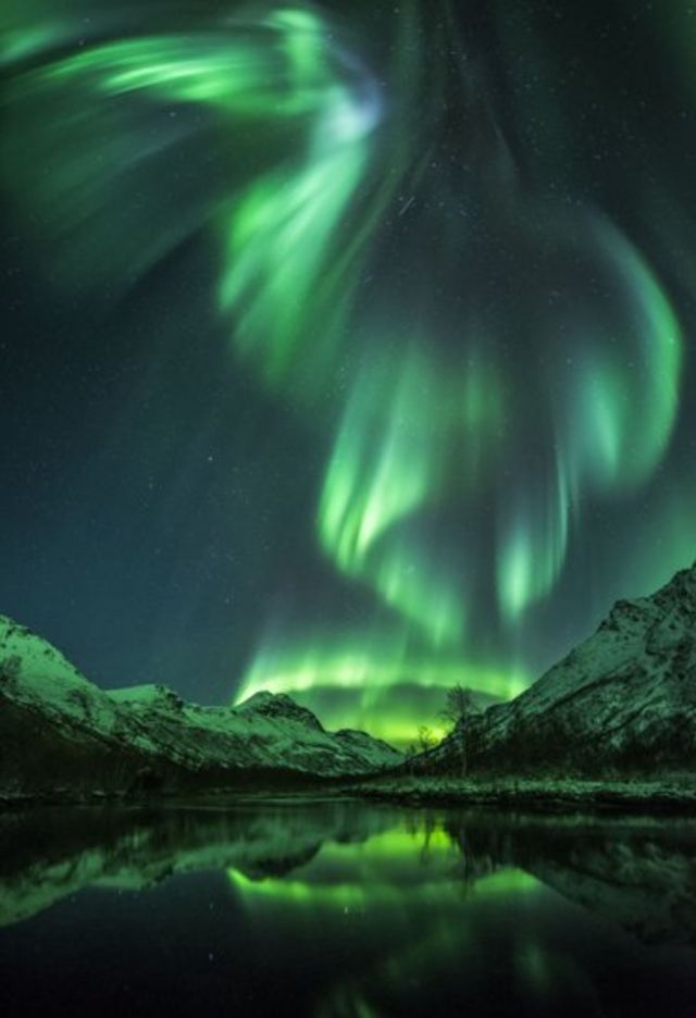 Aurora boreal de color verde