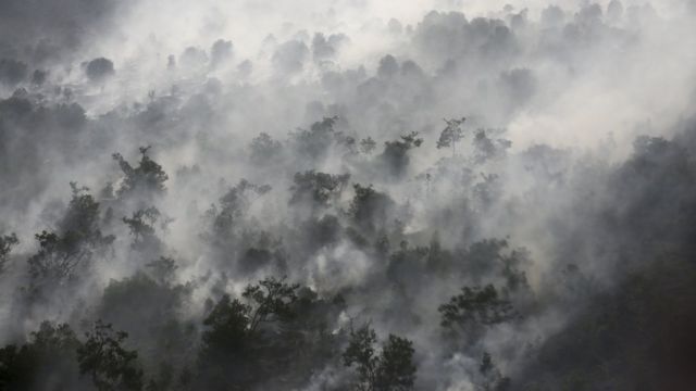 kebakaran, hutan, pemadaman, water bombing