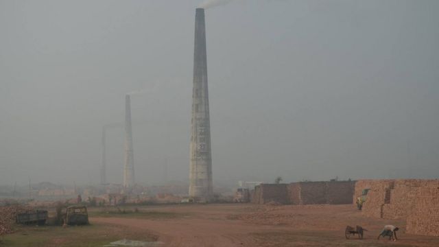 ইটভাটা