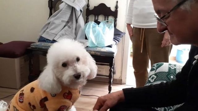 The elderly Jorge Torres, with glasses and white hair, sitting next to his dog, also elderly