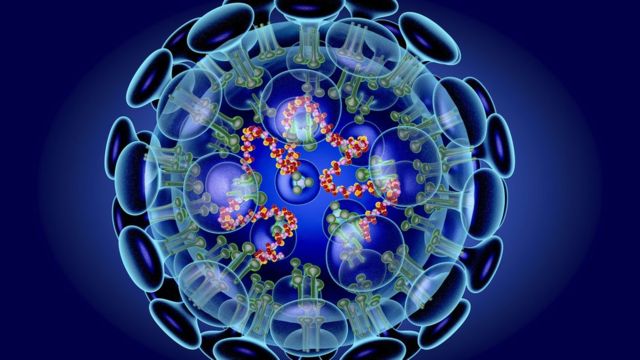 Virus corona: Mungkinkah terinfeksi tapi tidak sakit? - BBC News Indonesia