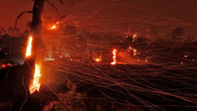 Raio seco causa incêndio florestal entre árvores na Califórnia