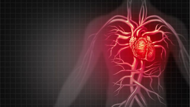 Ilustração mostra coração dentro do corpo humano