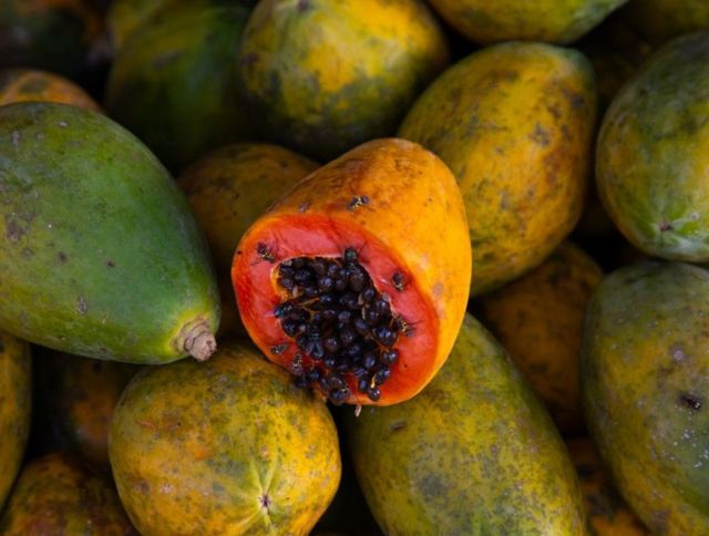 Nutrition : les bienfaits de l'eau de coco sur la santé - BBC News