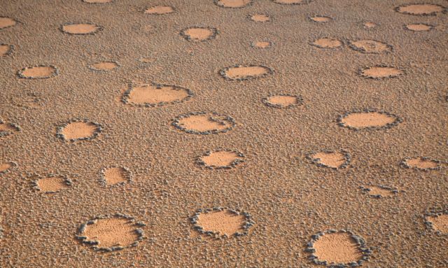 fairy circles