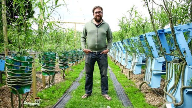 Gavin Munro Hopes That The First Batch Of Chairs Will Be Ready For Harvest In Late 2015