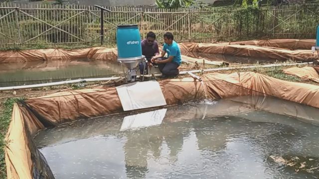 EFishery: Pemberi Pakan Ikan Otomatis Buatan Indonesia Diperkenalkan Ke ...