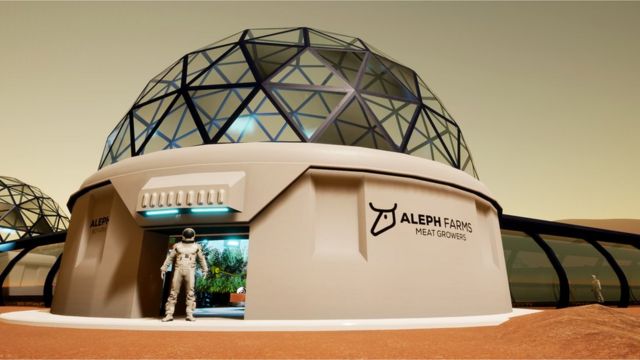 Aleph Farm's rendering of what a farm on Mars might look like