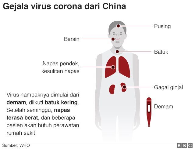 virus corona itu apa