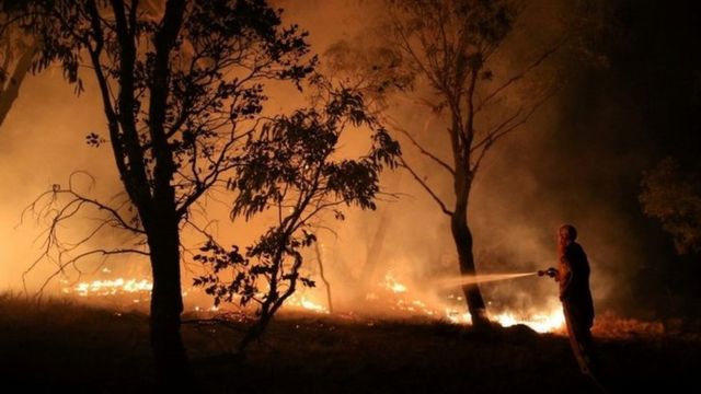 Incêndio florestal na Austrália