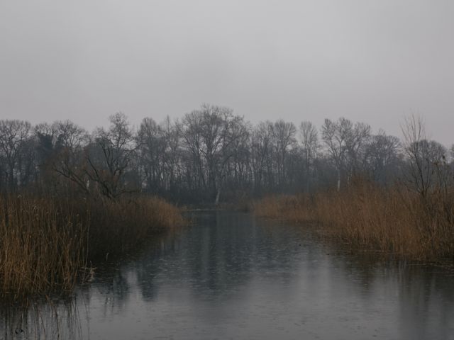 Obedska bara