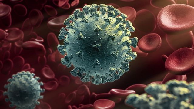 கொரோனா வைரஸ்
