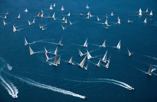 ஆஸ்திரேலியா: சிட்னி படகுப் போட்டியில் வரலாறு படைத்த பூனை