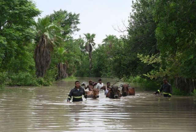 டெல்லி வெள்ளம்